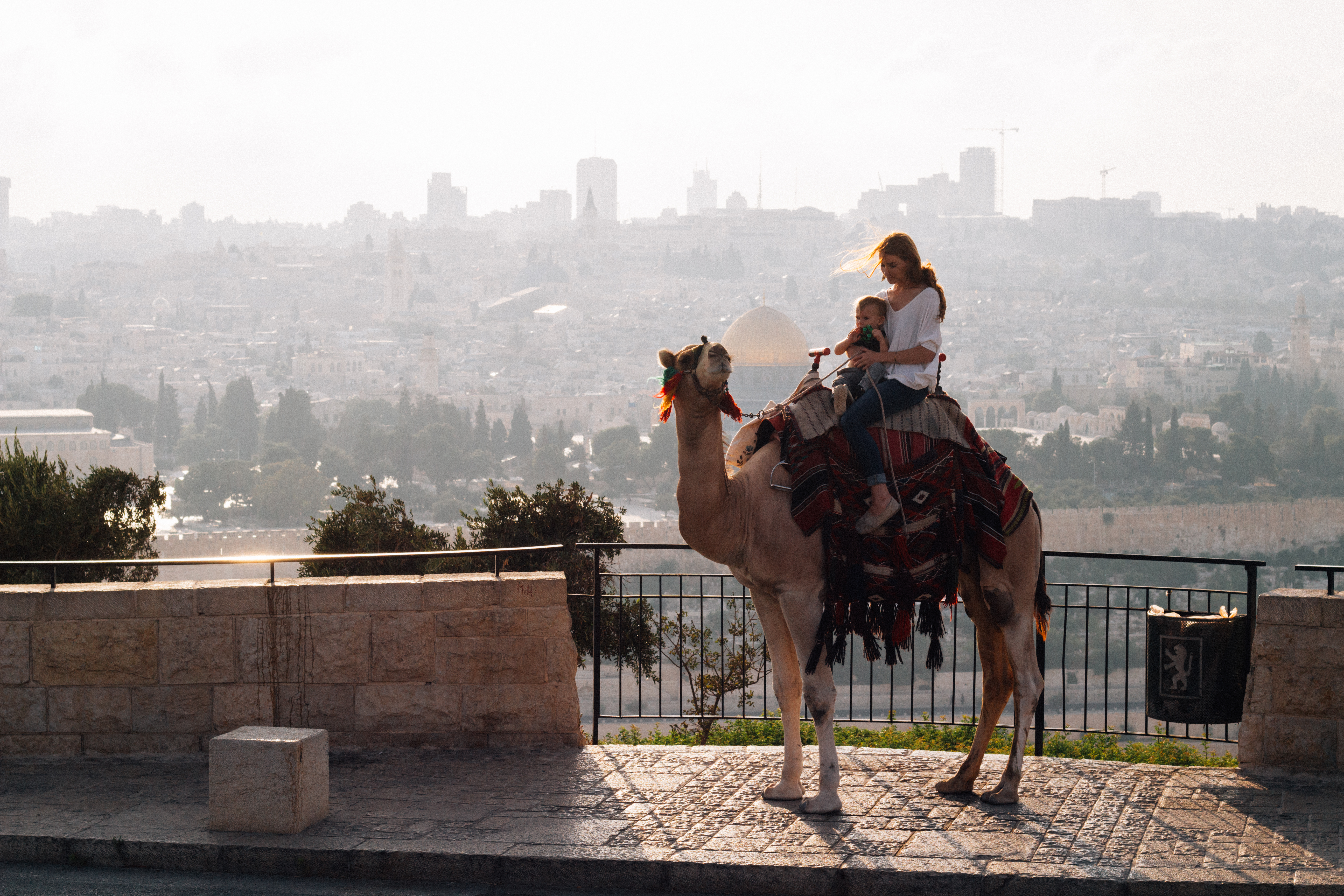 Camel ride ontop of the Mount of Olives